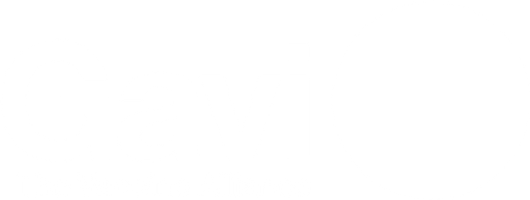 GAVI Alliance logo